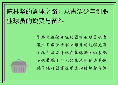陈林坚的篮球之路：从青涩少年到职业球员的蜕变与奋斗