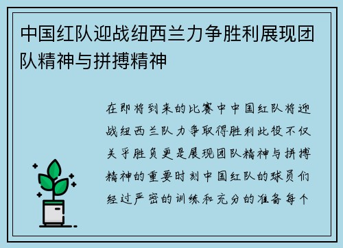 中国红队迎战纽西兰力争胜利展现团队精神与拼搏精神