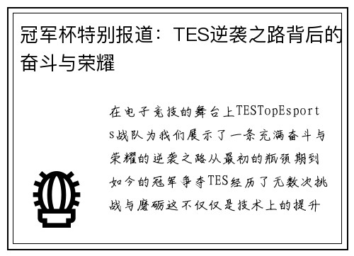 冠军杯特别报道：TES逆袭之路背后的奋斗与荣耀