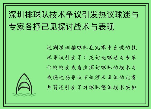 深圳排球队技术争议引发热议球迷与专家各抒己见探讨战术与表现