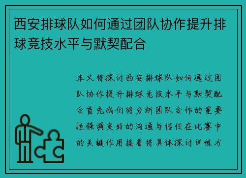 西安排球队如何通过团队协作提升排球竞技水平与默契配合